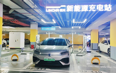 新站落地|渝见绿色，渝见美好