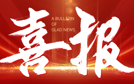 领充喜报|领充新能源分体式直流充电桩、一体式直流充电桩、分布式储能系统均获得专利密集型产品认定