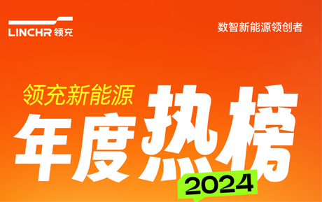 领充新能源2024年度热榜